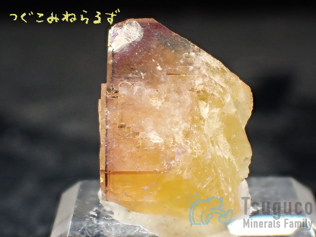 フローライト 蛍石 Fluorite ドイツ TM-0048