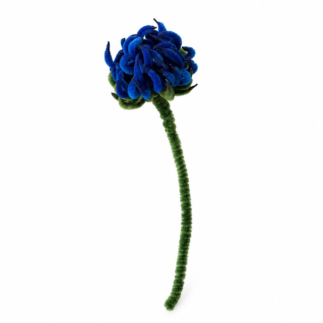 モールフラワー　糸菊　青