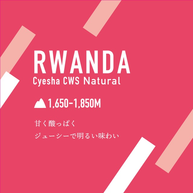 Rwanda Cyeshav Natural｜Light–Medium｜200g