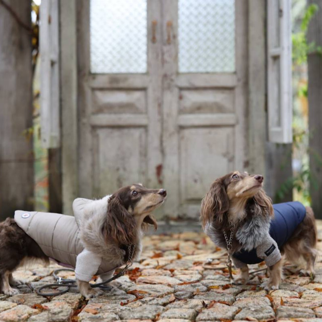 ダウンジャケット(ファー付きフード) 2022-2023 ※リバーシブル