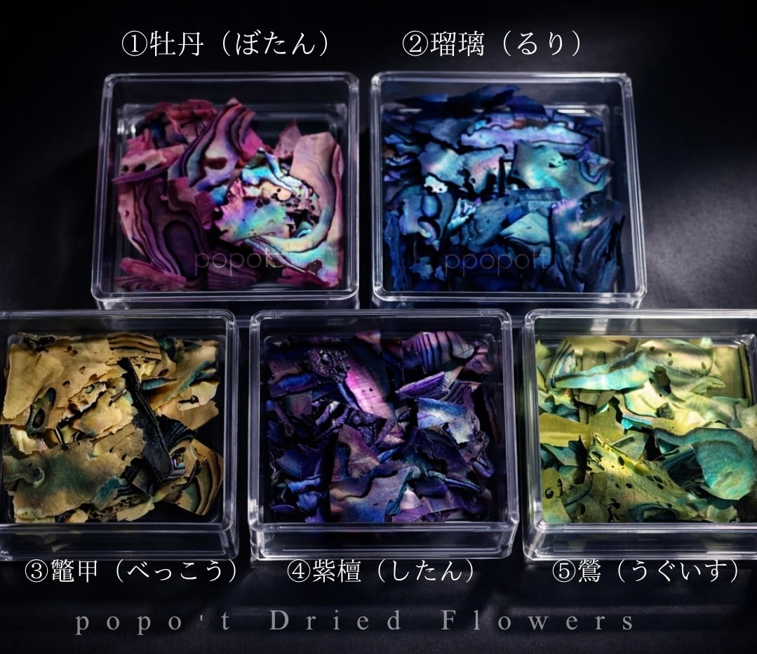 花材 | popo't〜ドライフラワーと雑貨のお店〜