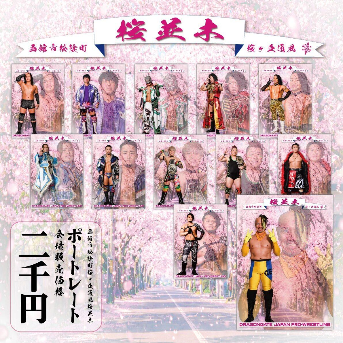 ボイスラッガー オフィシャルポートレート オフィシャルポートレート | DRAGONGATE WEBSHOP