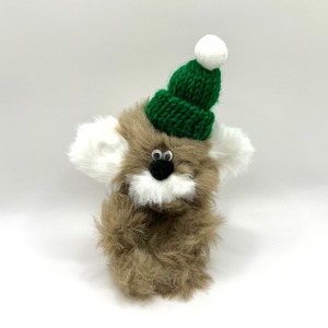 Ammie pet【Morley】