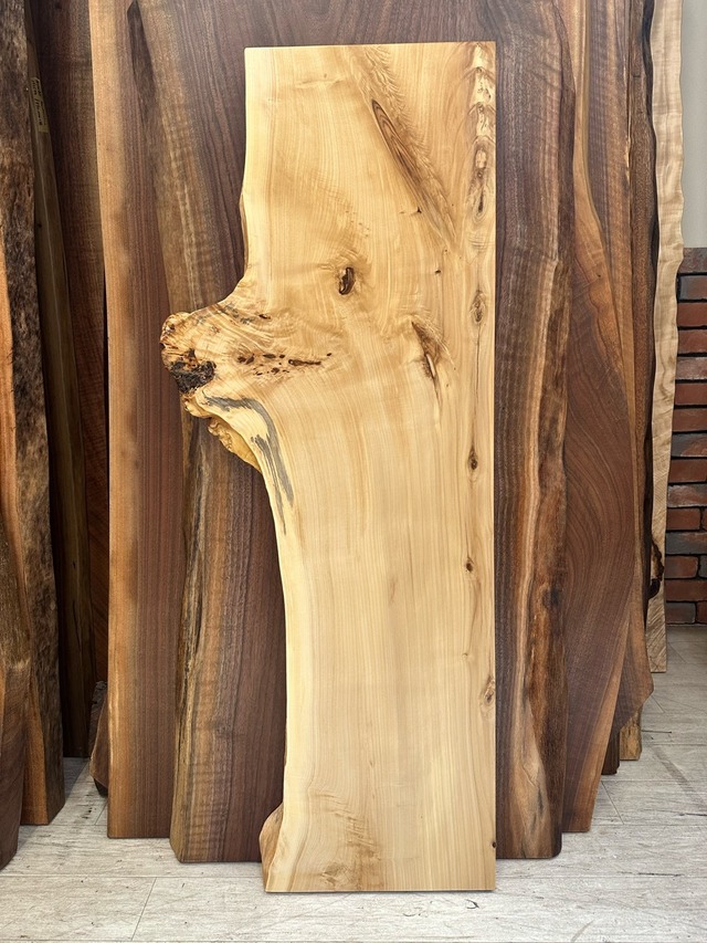 ポプラ_1200×310-470×60 _青山店_テーブル天板/一枚板 261028-2