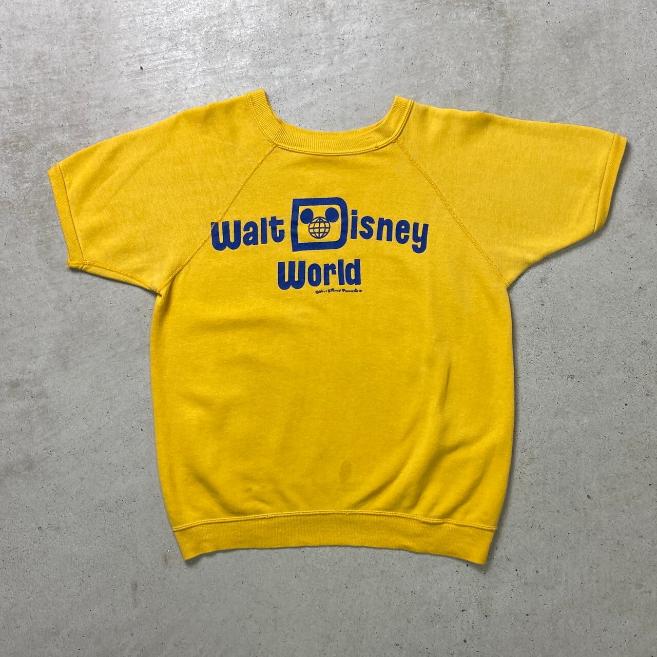 70年代 Walt Disney World ウォルトディズニーワールド プリント 