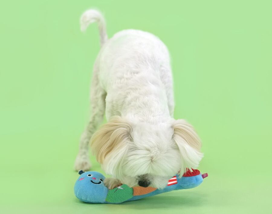 larva snack toy / ペット 犬 おもちゃ カシャカシャ 音が鳴る 知育玩具 ノーズワーク おやつ隠し 可愛い わんちゃん おもちゃ ストレス解消 toy15