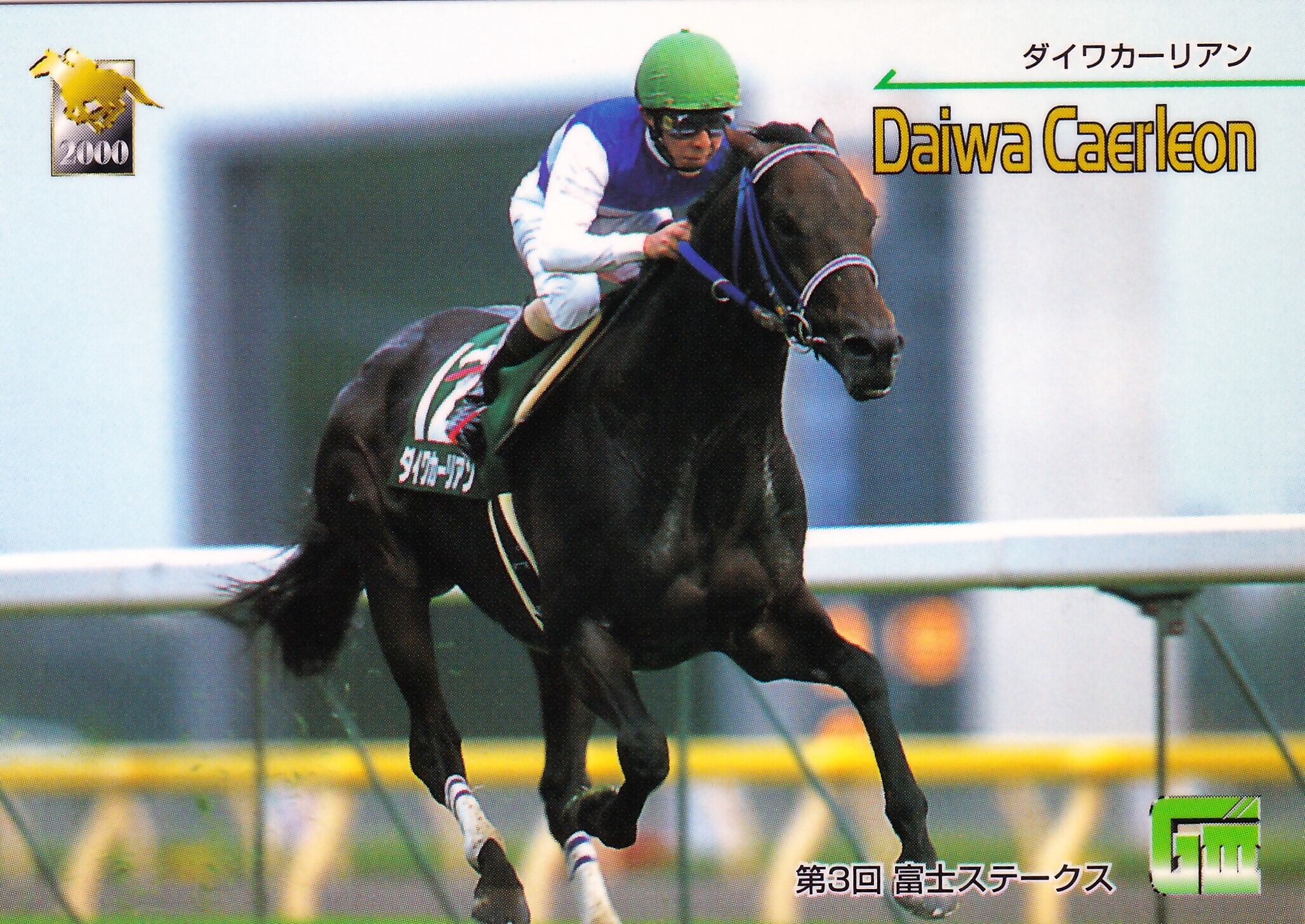 ナリタブライアン：第54回 皐月賞「サラブレッドカード 00年上半期