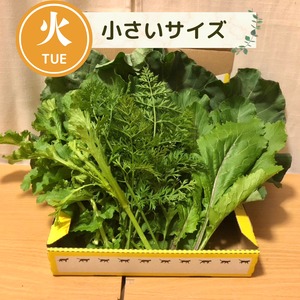 【11月3日（火）21時より受付開始】＜火曜日に収穫・発送＞【小さいサイズ】季節のお野菜セット