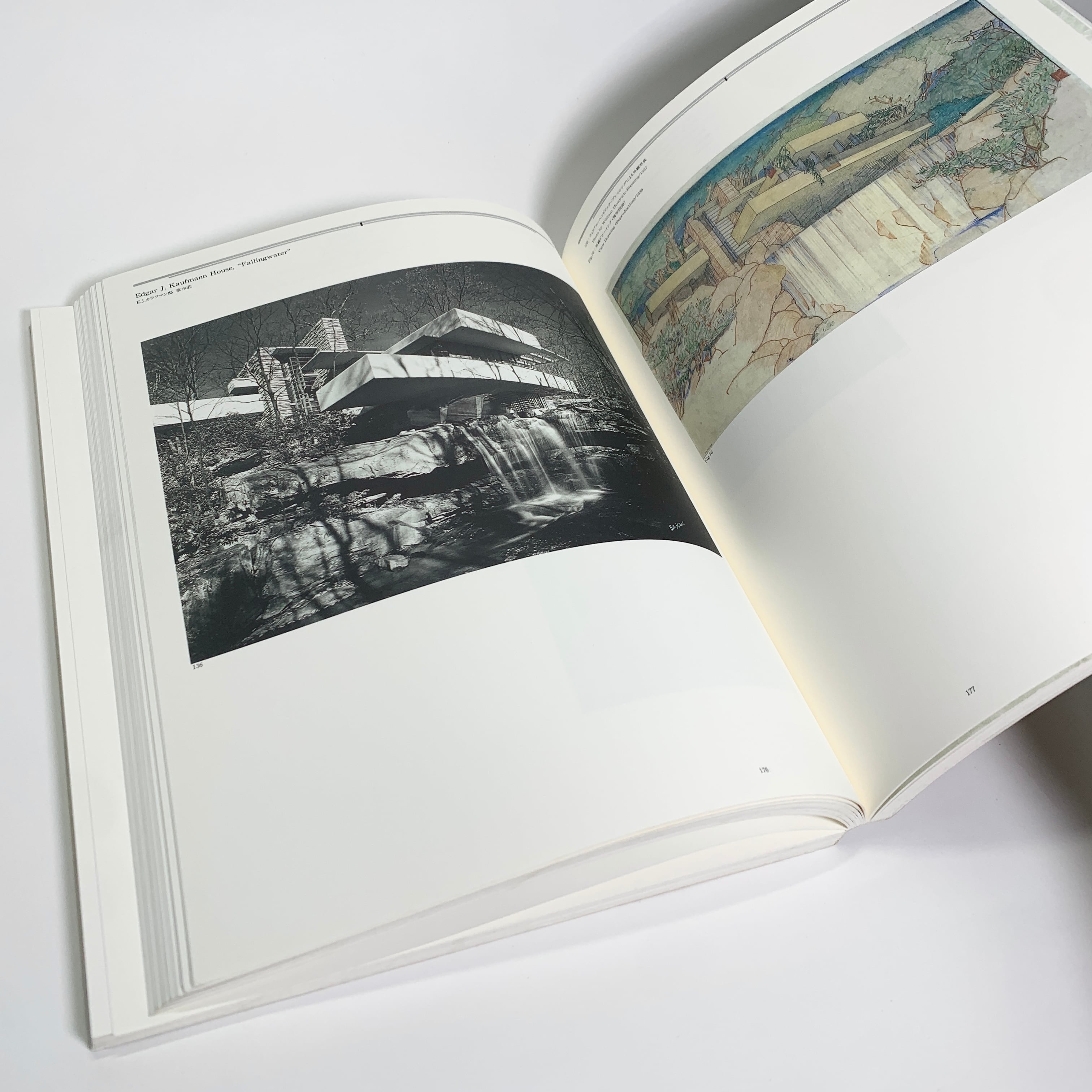 フランク・ロイド・ライト回顧展」図録 | sporesbooks