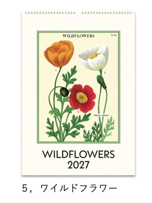 【CAVALLINI】2027 ウォールカレンダー/ワイルドフラワー　※10月発送予定商品