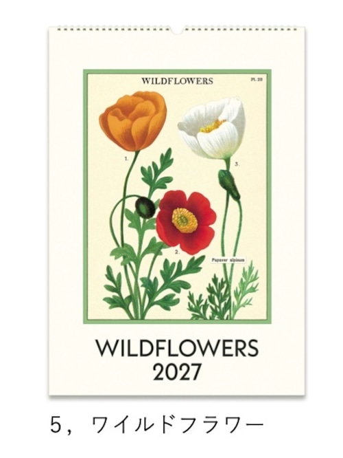 【CAVALLINI】2027 ウォールカレンダー/ワイルドフラワー ※10月発送予定商品