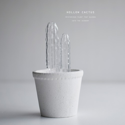 hollow cactus　青緑柱