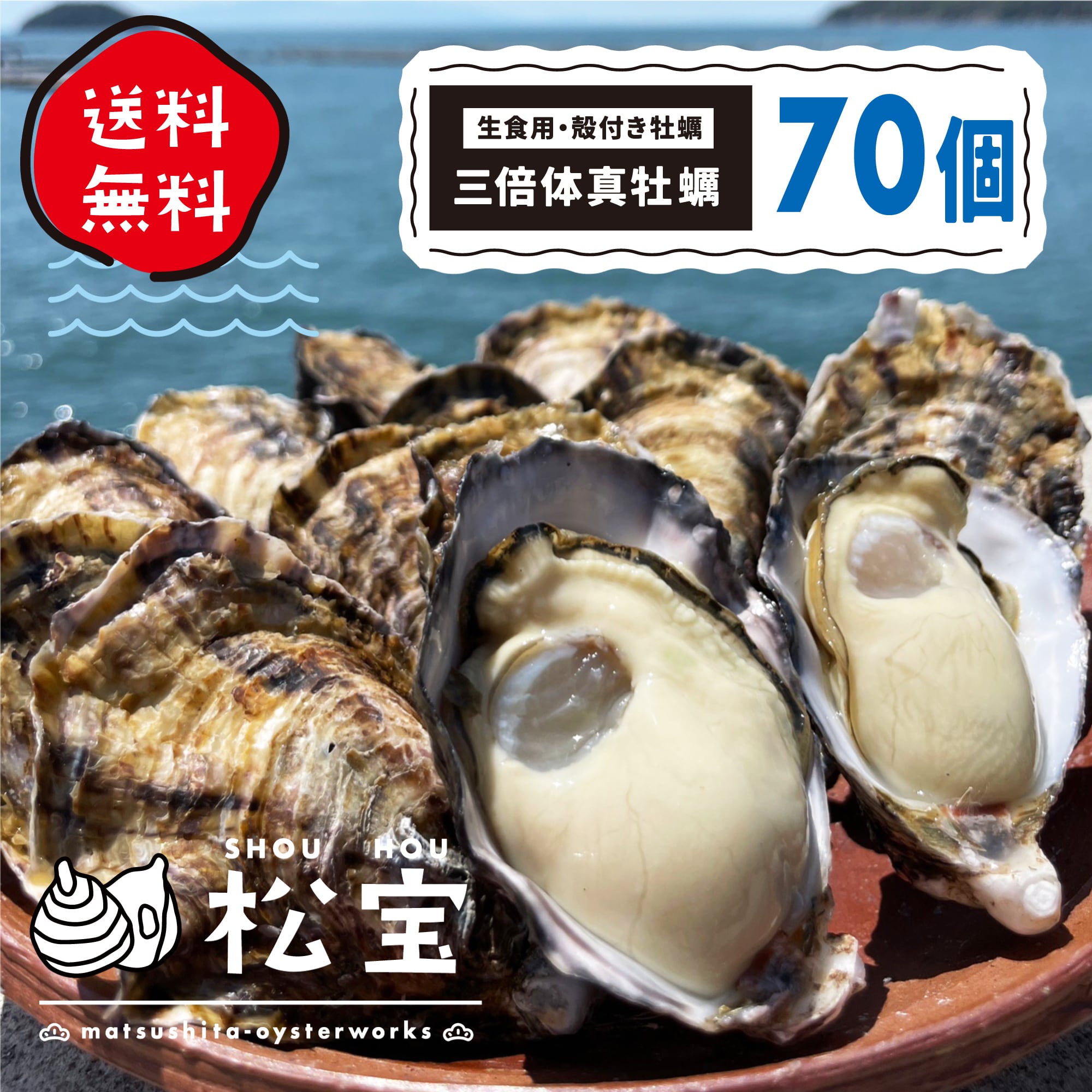 送料込!三倍体真牡蠣 『松宝』70個