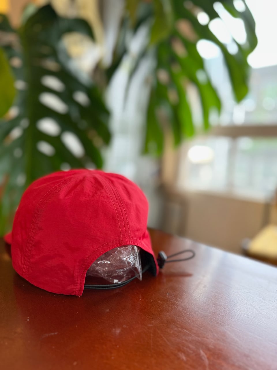 SAVE SHOCK / HIKE MOUNTAIN GREAT AGAIN CAP | EE ONLINE STORE -