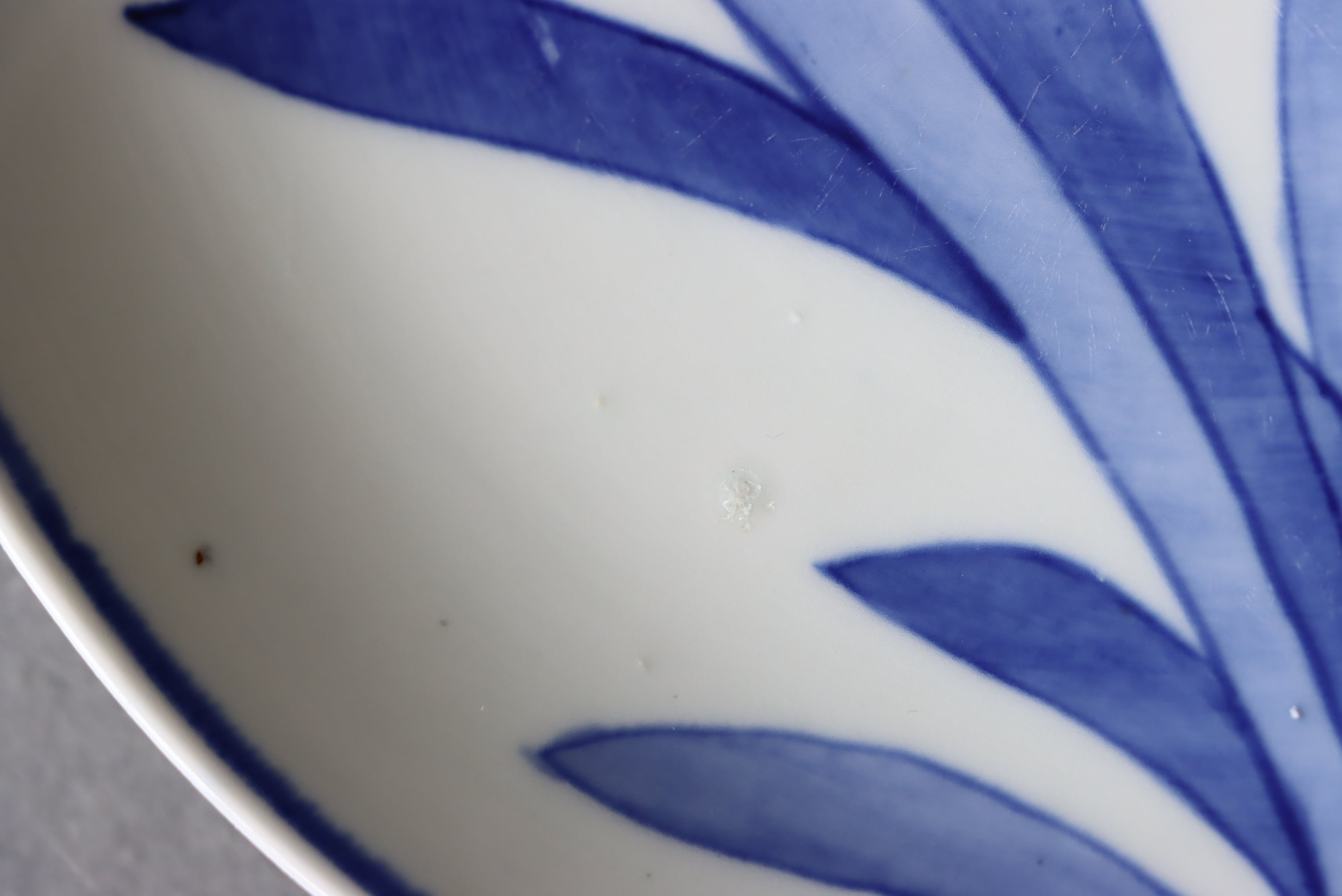 染付 阿蘭陀石竹文 中皿 七寸/Blue and white medium size plate | (有