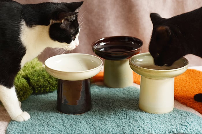 CYLINDER [BROWN］ | SU 猫のためのうつわ