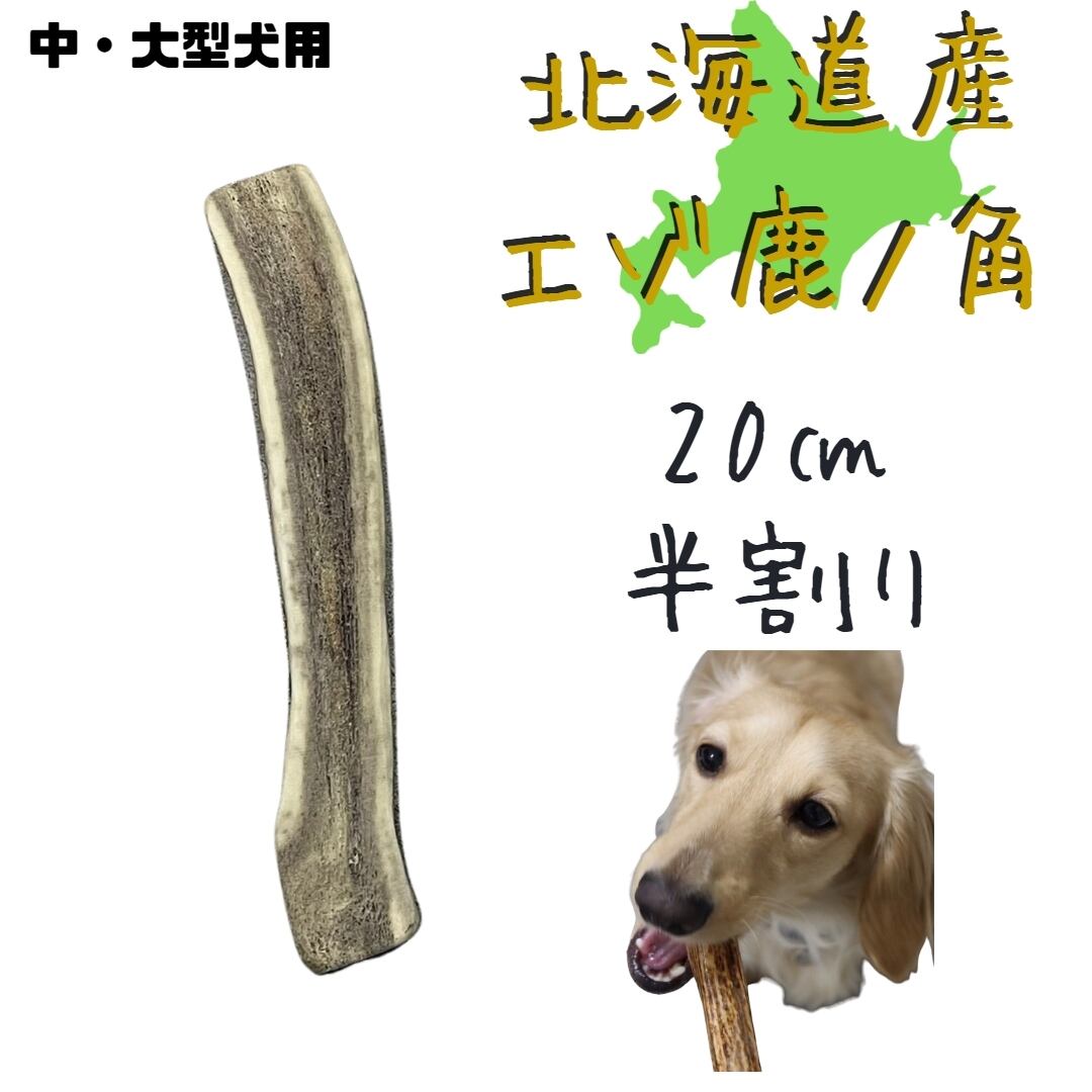 送料無料】北海道産蝦夷鹿の角 10㎝ 半割り 1本 犬のおやつ おもちゃ