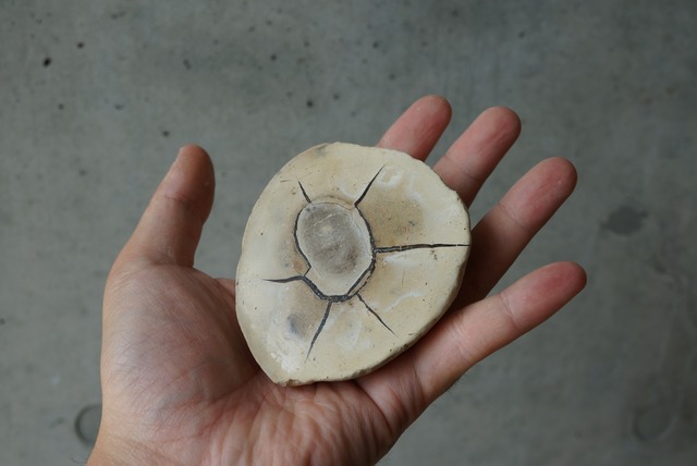 マダガスカル産セプタリアン Septarian 1394