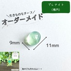 【9/13まで】生きものモチーフオーダー［プレナイト（楕円）］
