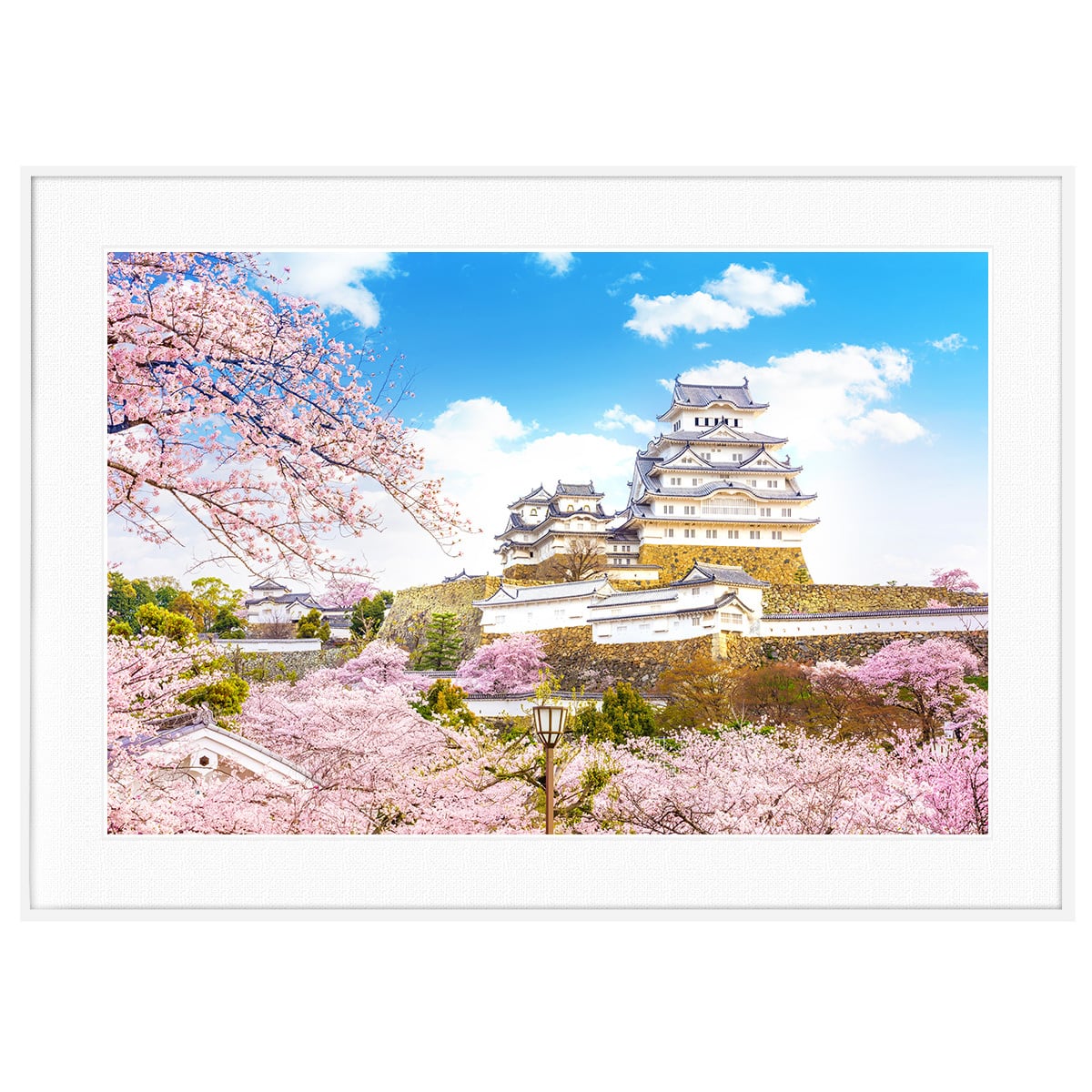 日本写真 姫路城と桜 インテリアアートポスター額装 AS4229