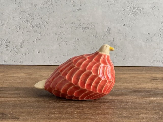 柴田菜月 | イロトリドリ 朱