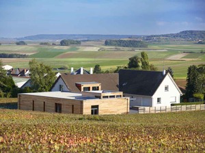 ★新着ワイン★【ラクルト・ゴドビヨン】パーセレール モン・ターム・ミジュラ 2016