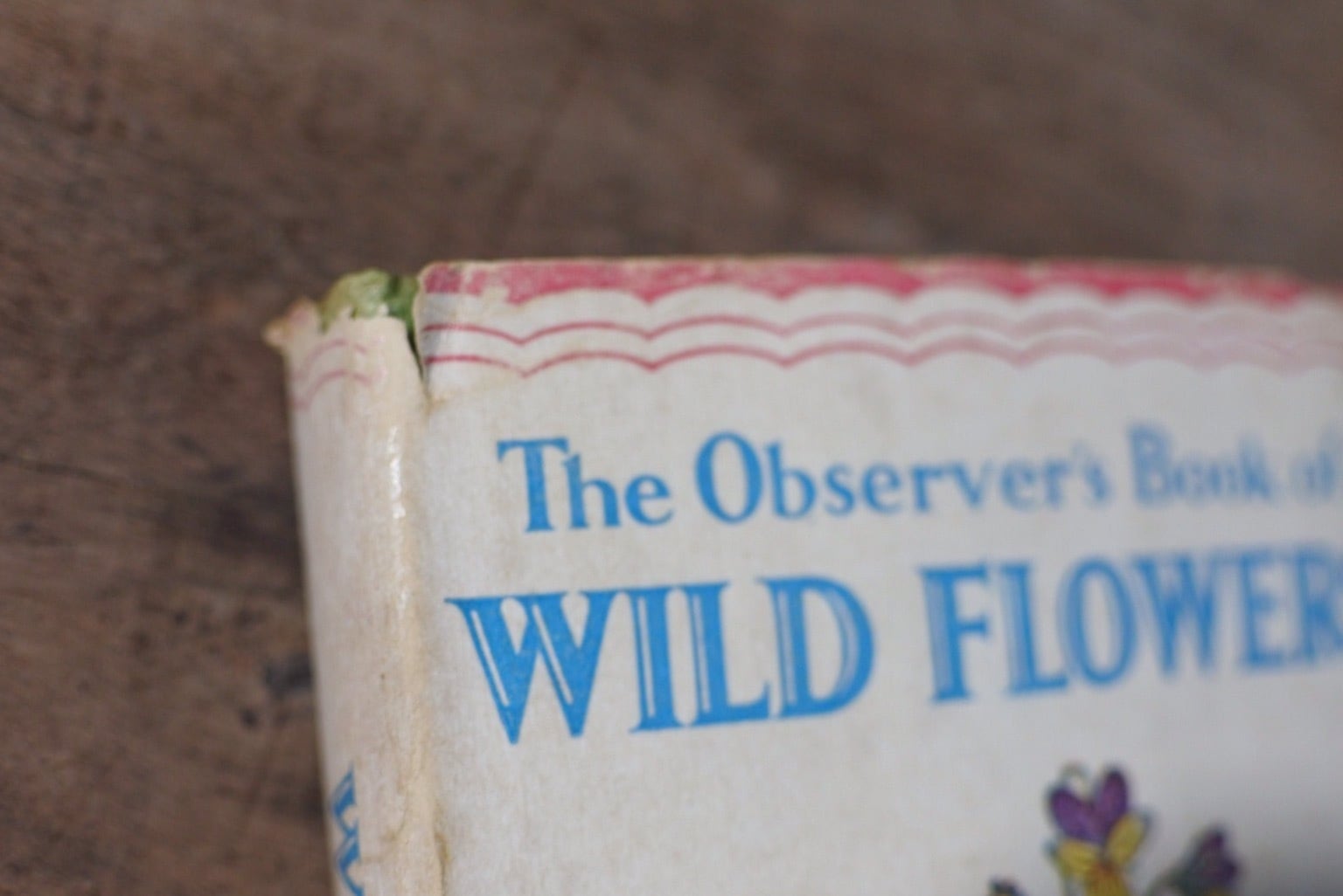洋書 古書 The Observer's Book of Wild Flowers W. J. Stokoe