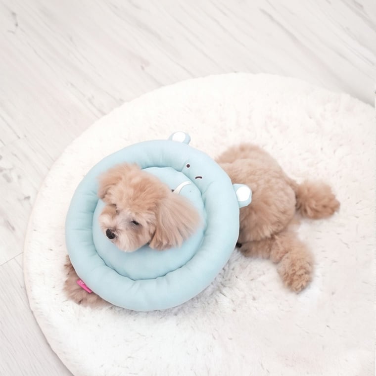 best friend elizabeth collar S ～ M 4color / 犬 エリザベスカラー クッション ソフト 綿 小型犬 中型犬 コットン犬用 枕 カラフル 可愛い ネックカラー 軽い 軽量 嫌がらない 介護 傷なめ防止
