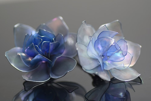 かぐや姫（紫陽花）・2022月水晶之花
