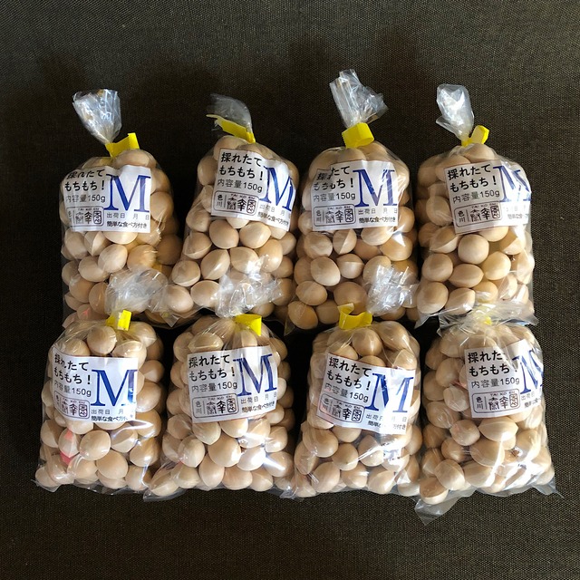 銀杏〜12月末まで期間限定〜【泰幸園】