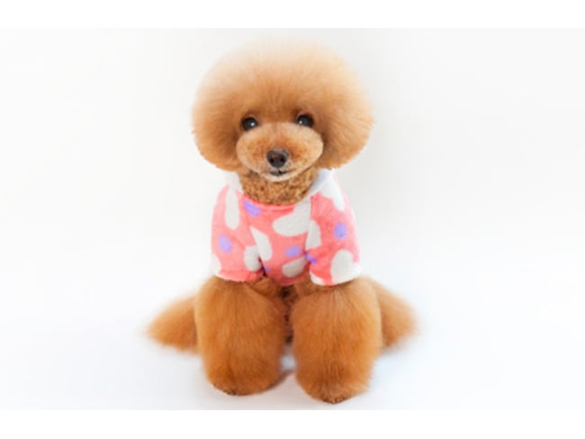 もこもこロンパース S ~ XXL 2color / 犬服 防寒 秋冬 犬の服 犬 つなぎ オールインワン 小型犬 中型犬 ドッグウェア 部屋着 パジャマ お出かけ ペット用品