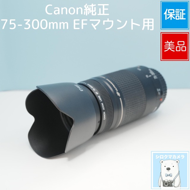 Canon純正 75-300mm EFマウント用 望遠レンズ 美品 シロクマカメラ a7157