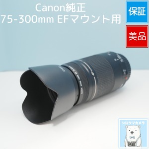 Canon純正 75-300mm EFマウント用 望遠レンズ 美品 シロクマカメラ a7157