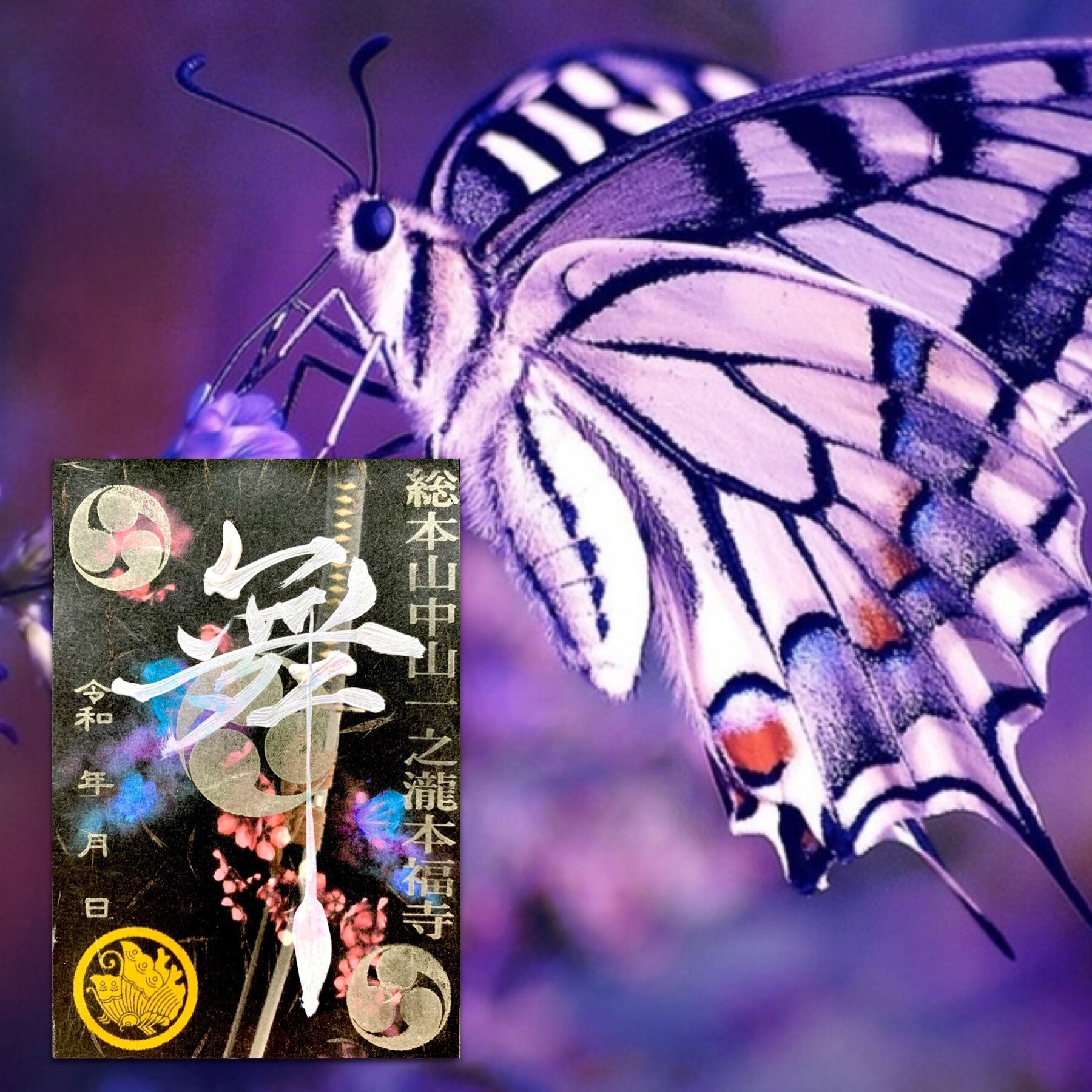 FANTASTICS BUTTERFLY 御朱印 EXILE TRIBE STATION ONLINE STORE｜【会場限定】CRAWLING BUTTERFLY