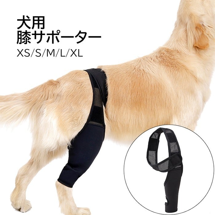 犬用左後肢サポーターXXSサイズ