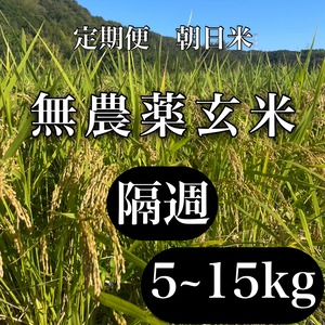 無農薬玄米　5㎏～　定期便　岡山県産　朝日米　主食固定向け・検査済