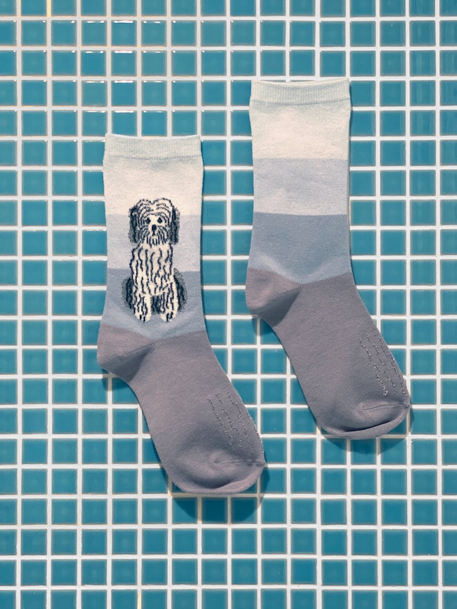 【松尾ミユキ】SOCKS TIBETAN TERRIER チベタンテリア ソックス