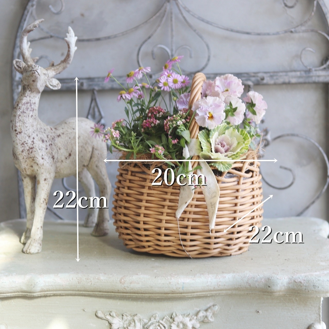 冬から春に楽しむ寄せ植え　ビオラティアードのピンクなカラーのハボタンのバスケットの寄せ植え　お正月にオススメ　届いてすぐ玄関に飾れる 　プレゼントにもオススメ　