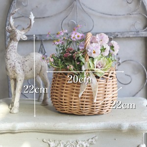 冬から春に楽しむ寄せ植え　ビオラティアードのピンクなカラーのハボタンのバスケットの寄せ植え　お正月にオススメ　届いてすぐ玄関に飾れる 　プレゼントにもオススメ　