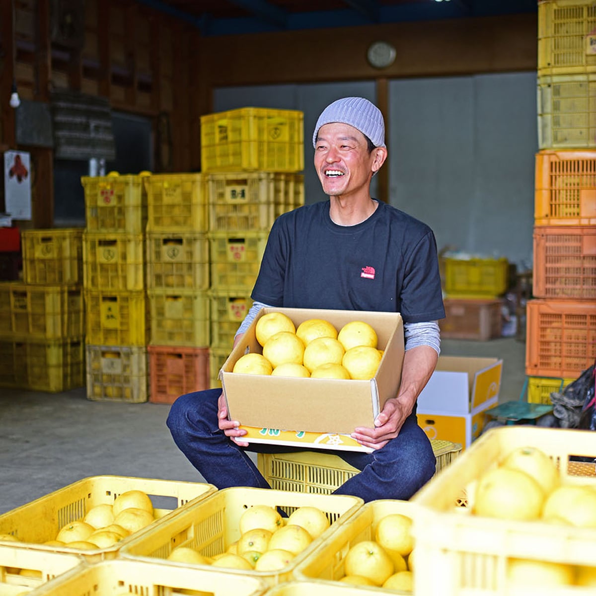 goya　k河内晩柑7kg×２箱ぐるりん 河内晩柑（家庭用）4．5kg｜郵便局のネットショップ