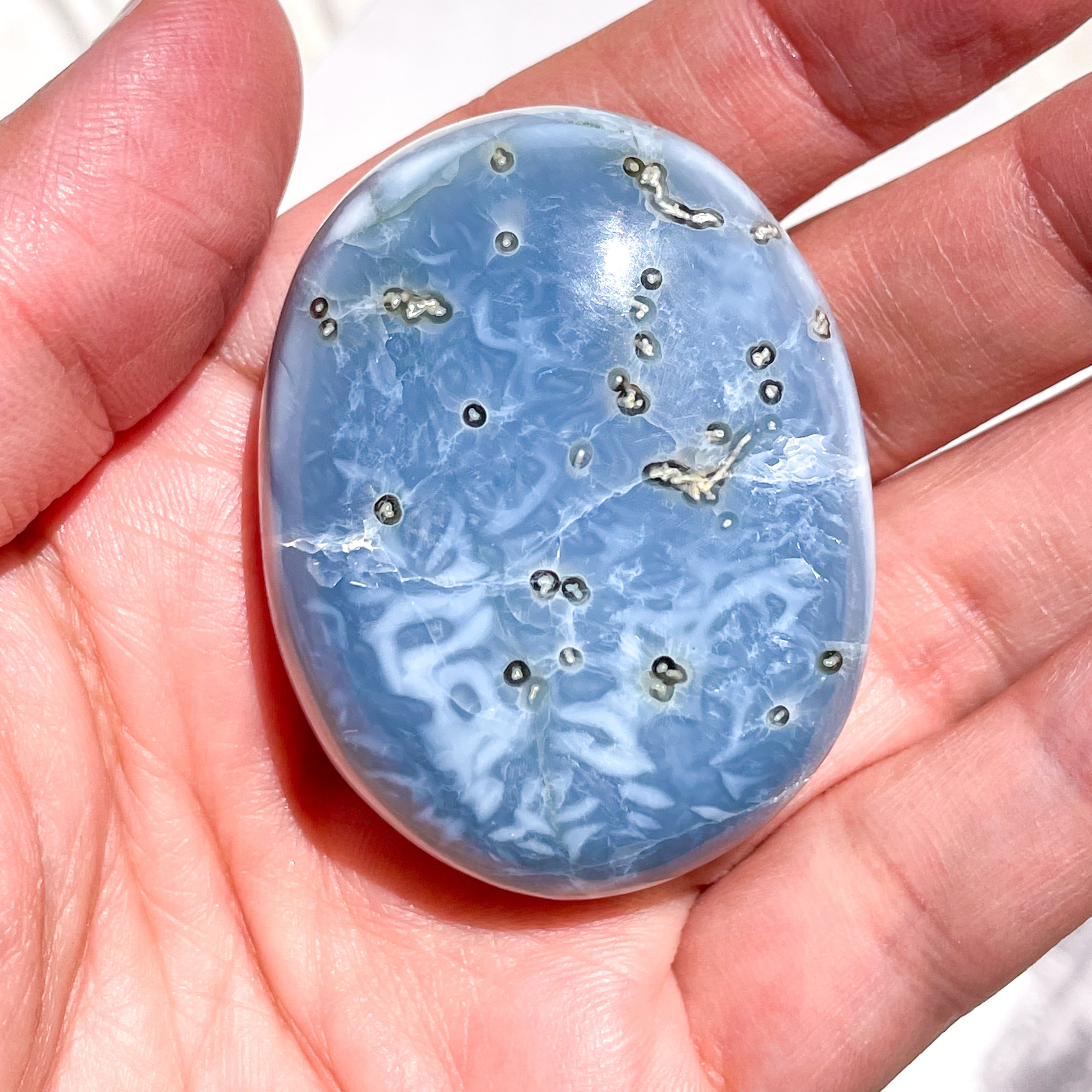 By Color Owyhee Blue Opal Palm 1 ✧ バイカラーブルーオパール By Color Owyhee Blue Opal Palm 1 ✧ バイカラーブルーオパール