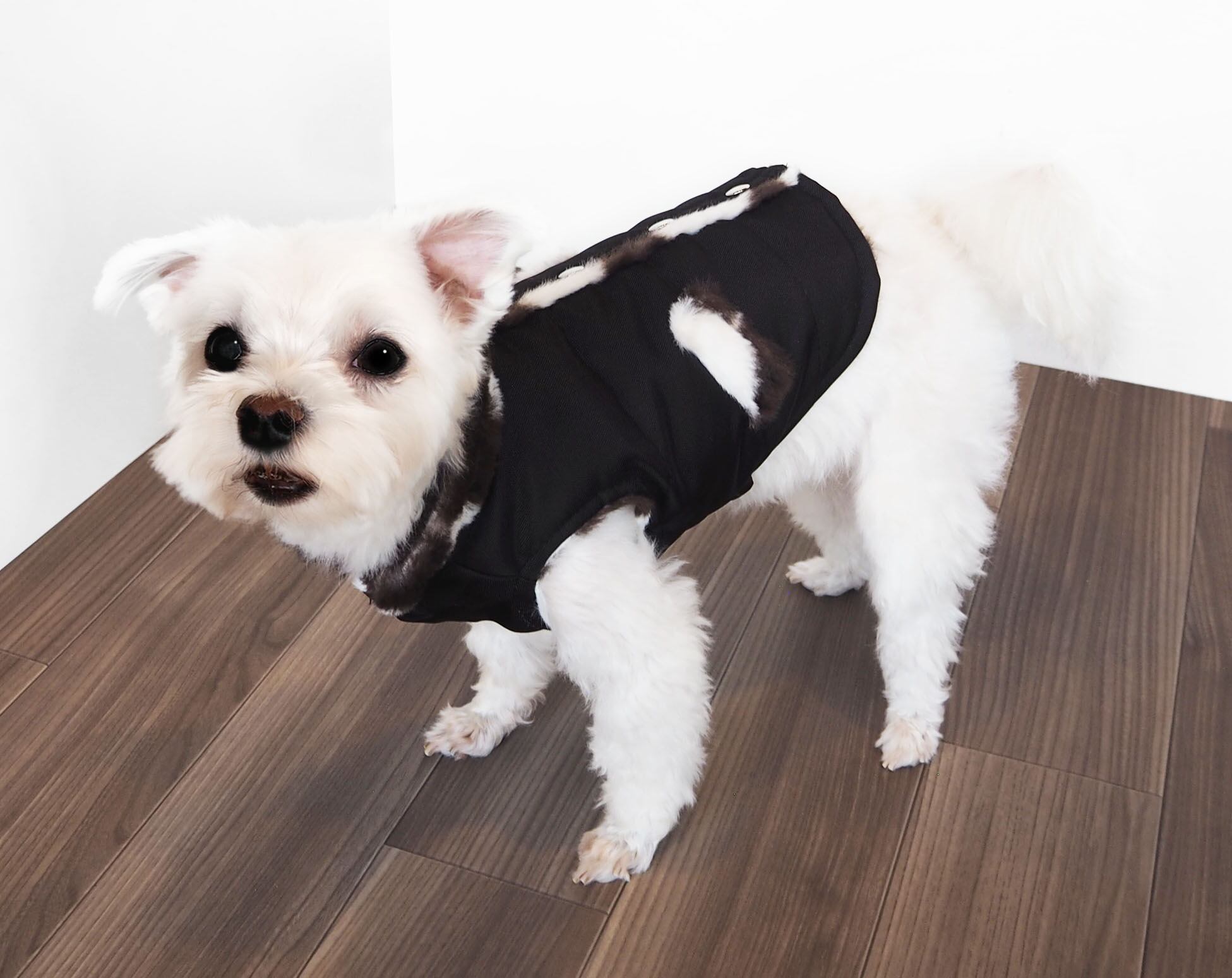 【ドッグウェア】25おでかけベスト カーキ/ブラック