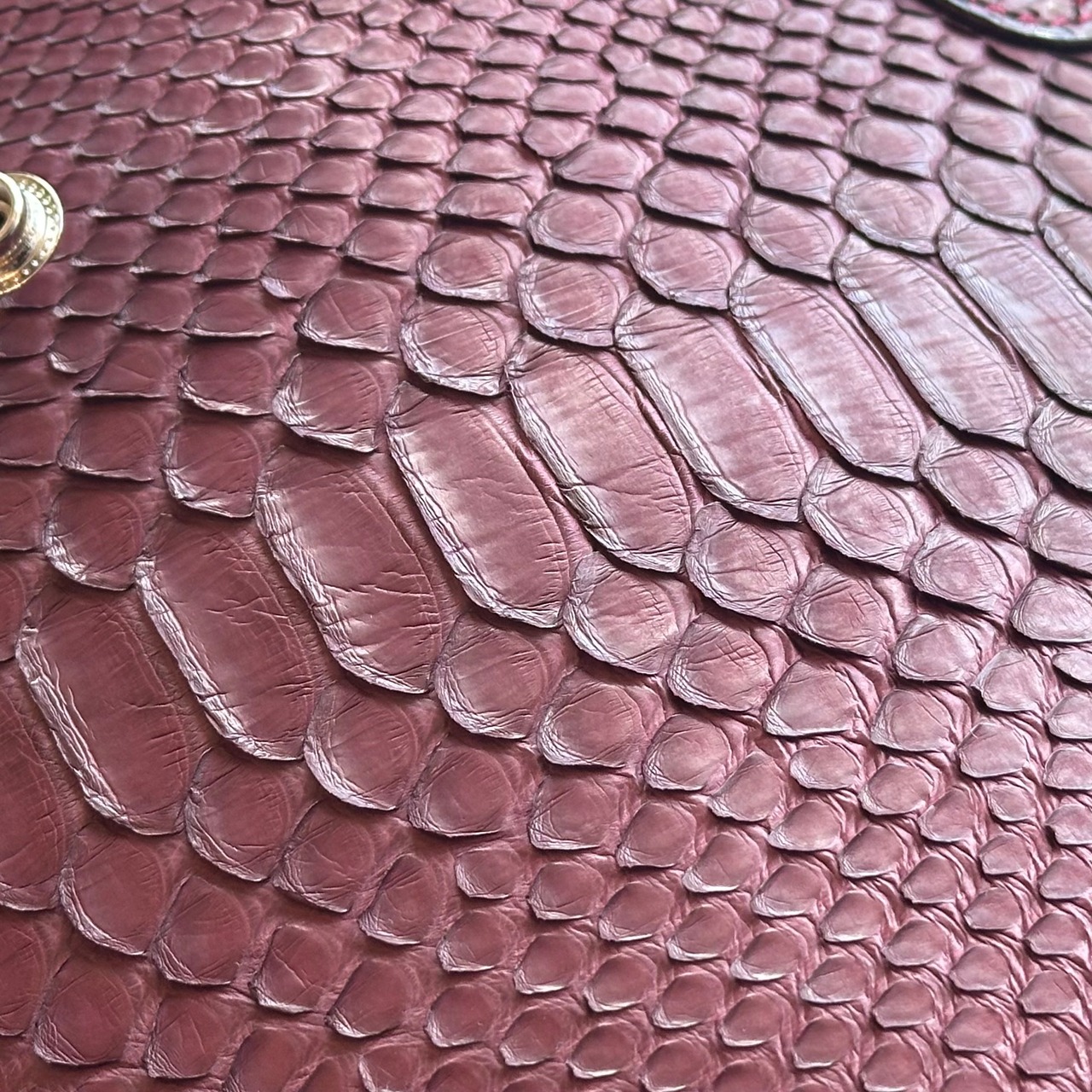 【限定商品】ライダースウォレット アリゾナフローラル マットパイソン