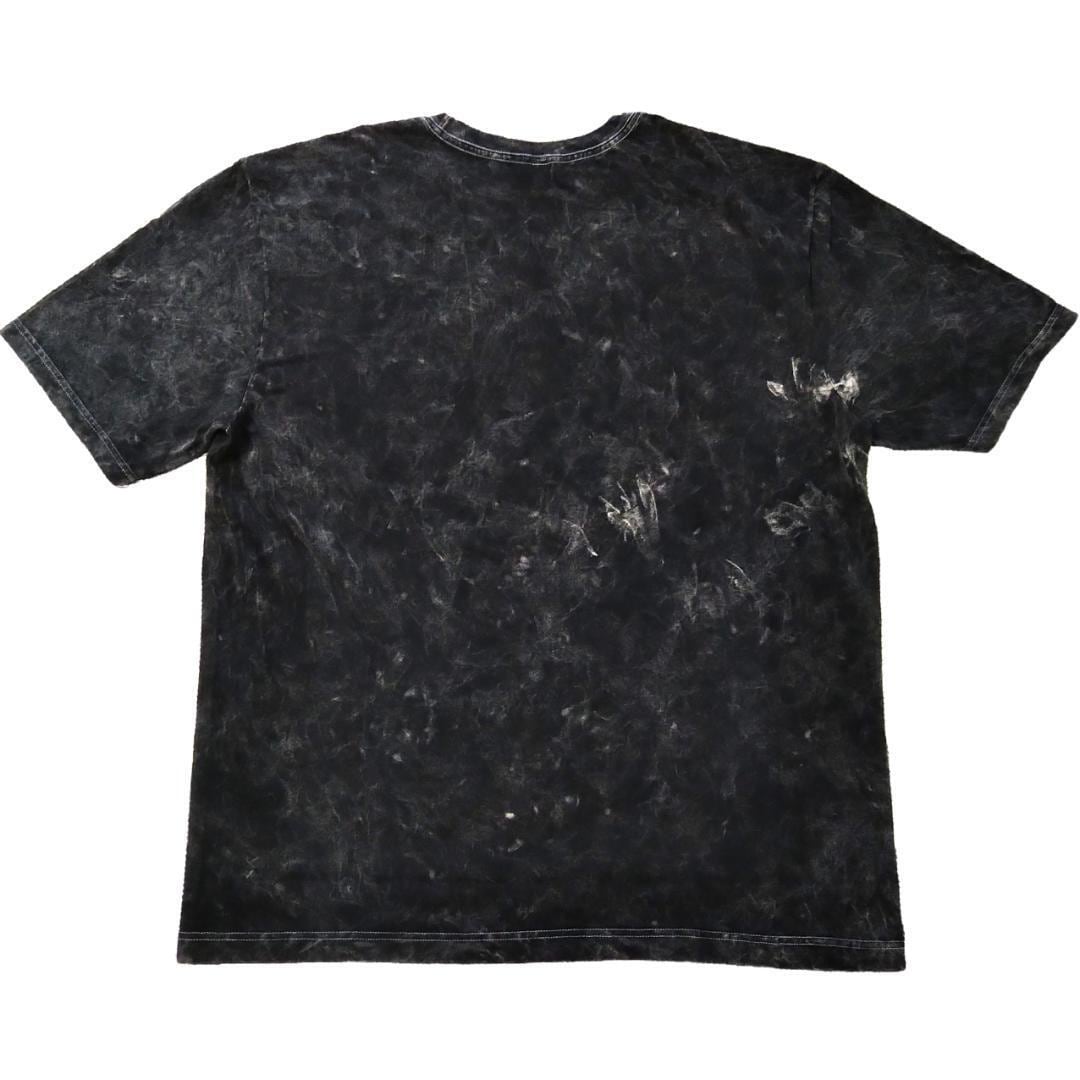 デジタルモンスター ウォッシュ加工Tシャツ 大きいLサイズ デジモン