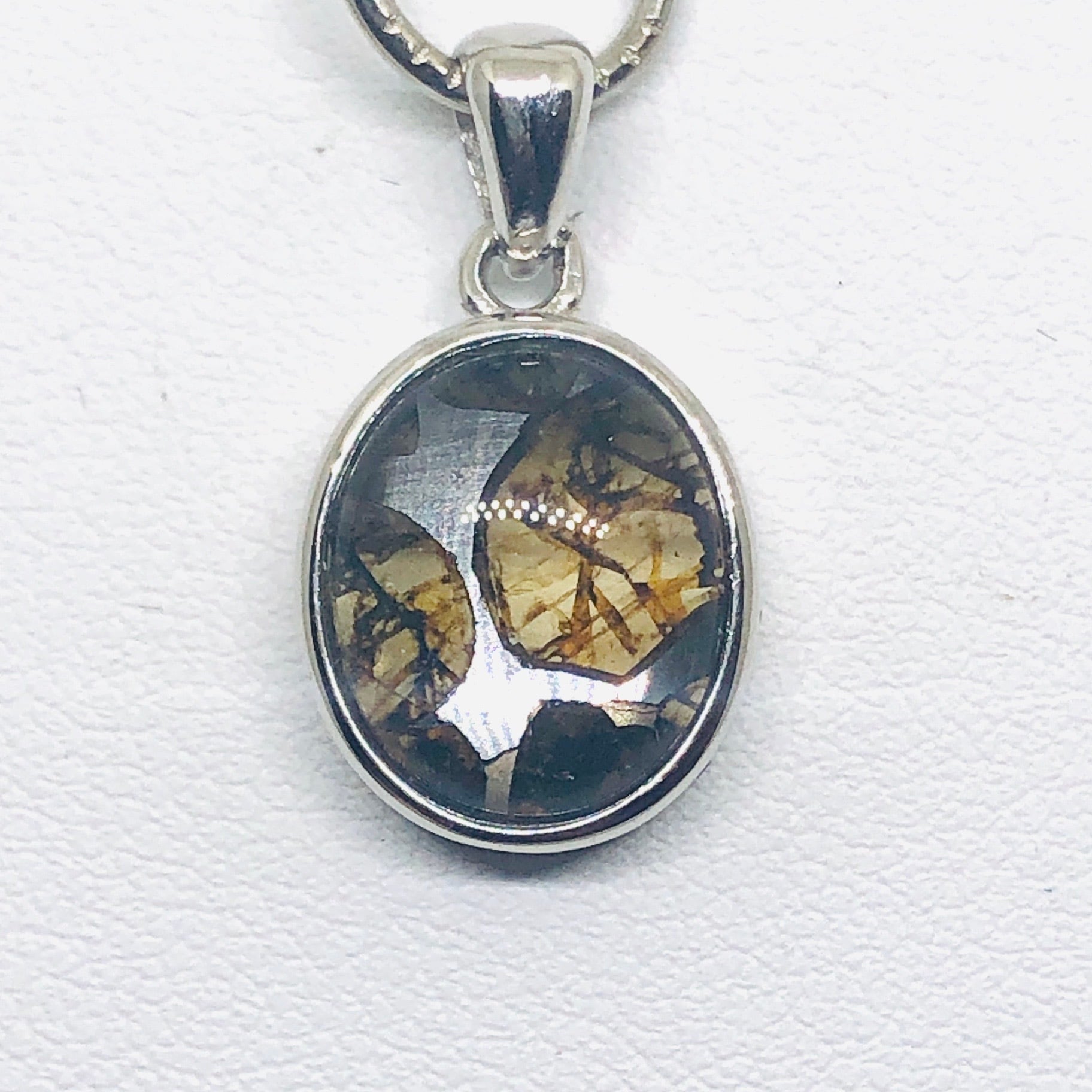 フカン隕石　フカン　隕石　パラサイト フカン隕石HG Fukang Meteorite 24051727 | 【隕石屋】METEOS（メテオス）