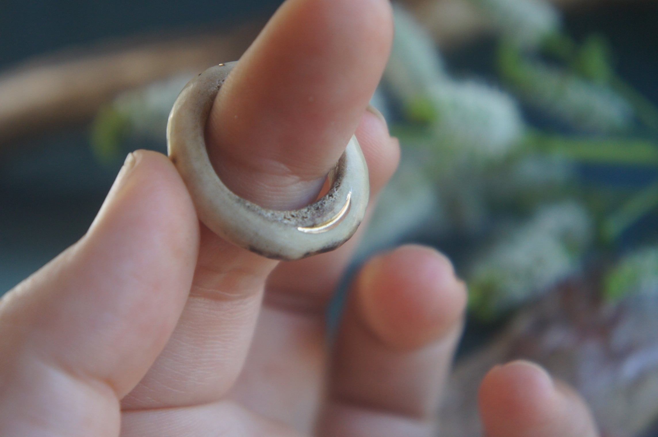 鹿角彫刻「月と星のリング」【サイズ指定受注制作】 | deer bone 