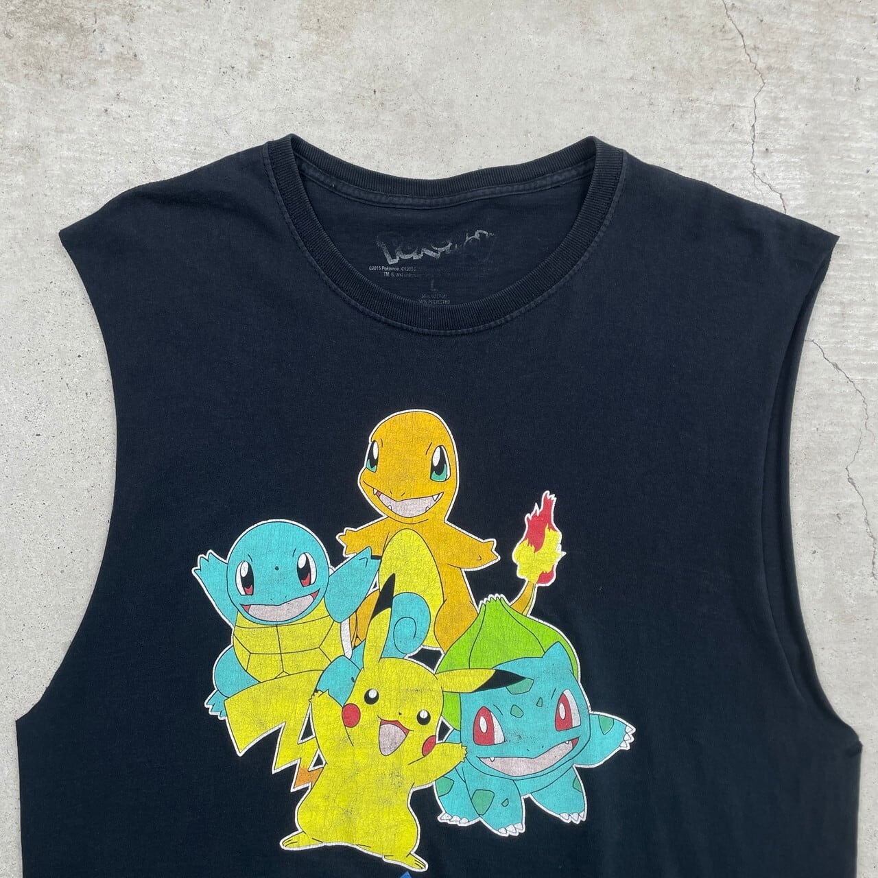 POKEMON ポケモン ピカチュウ ヒトカゲ ゼニガメ フシギダネ