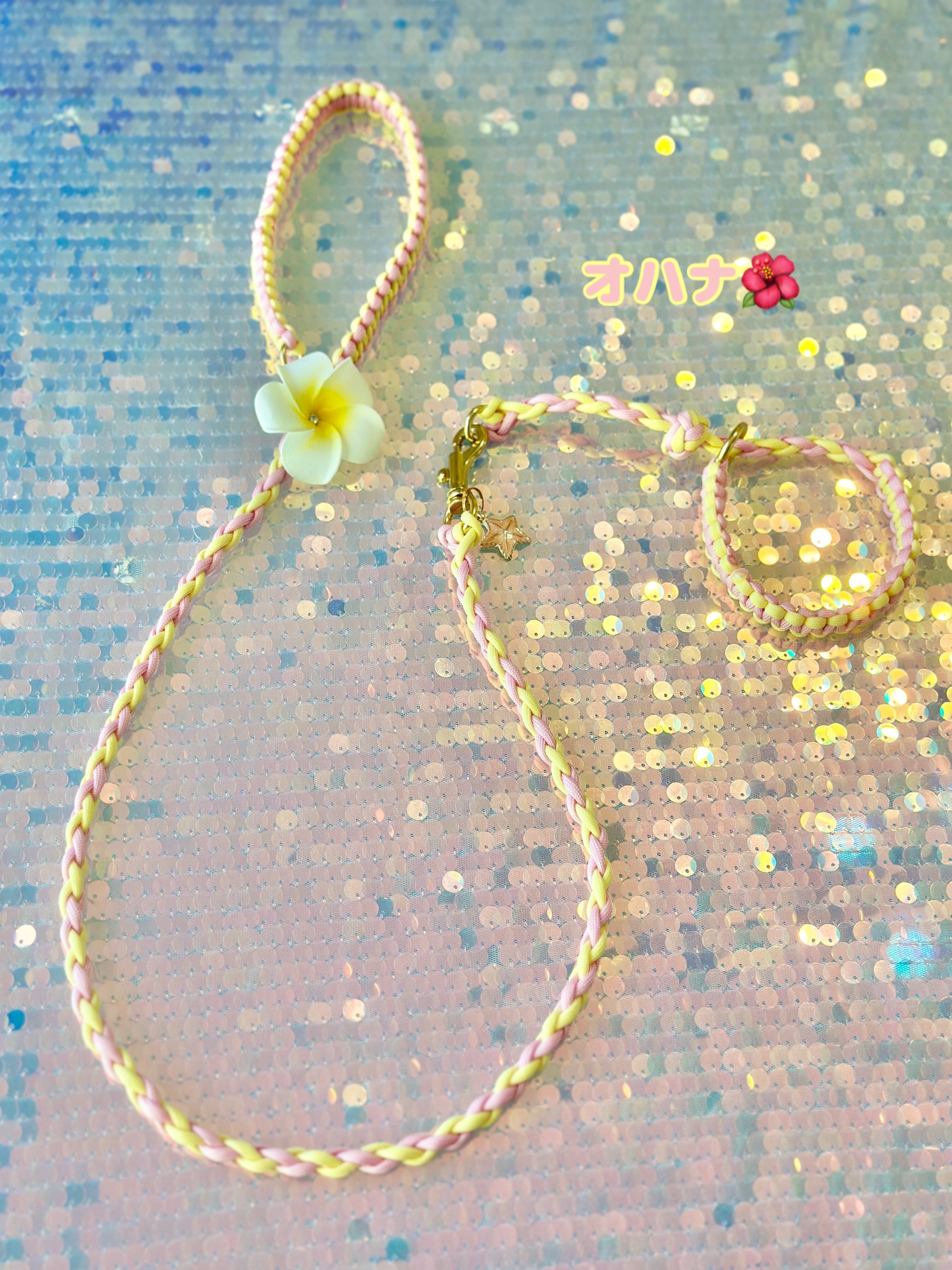 大型犬猫L オハナ