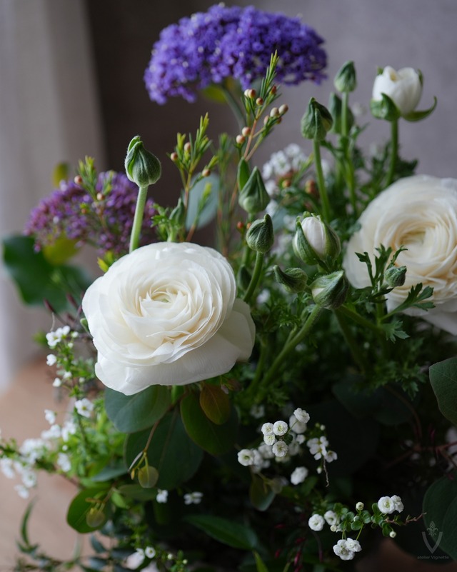 【ミニ花苗セット】スターチスとホワイトラナンと白い小花のミニ苗セット