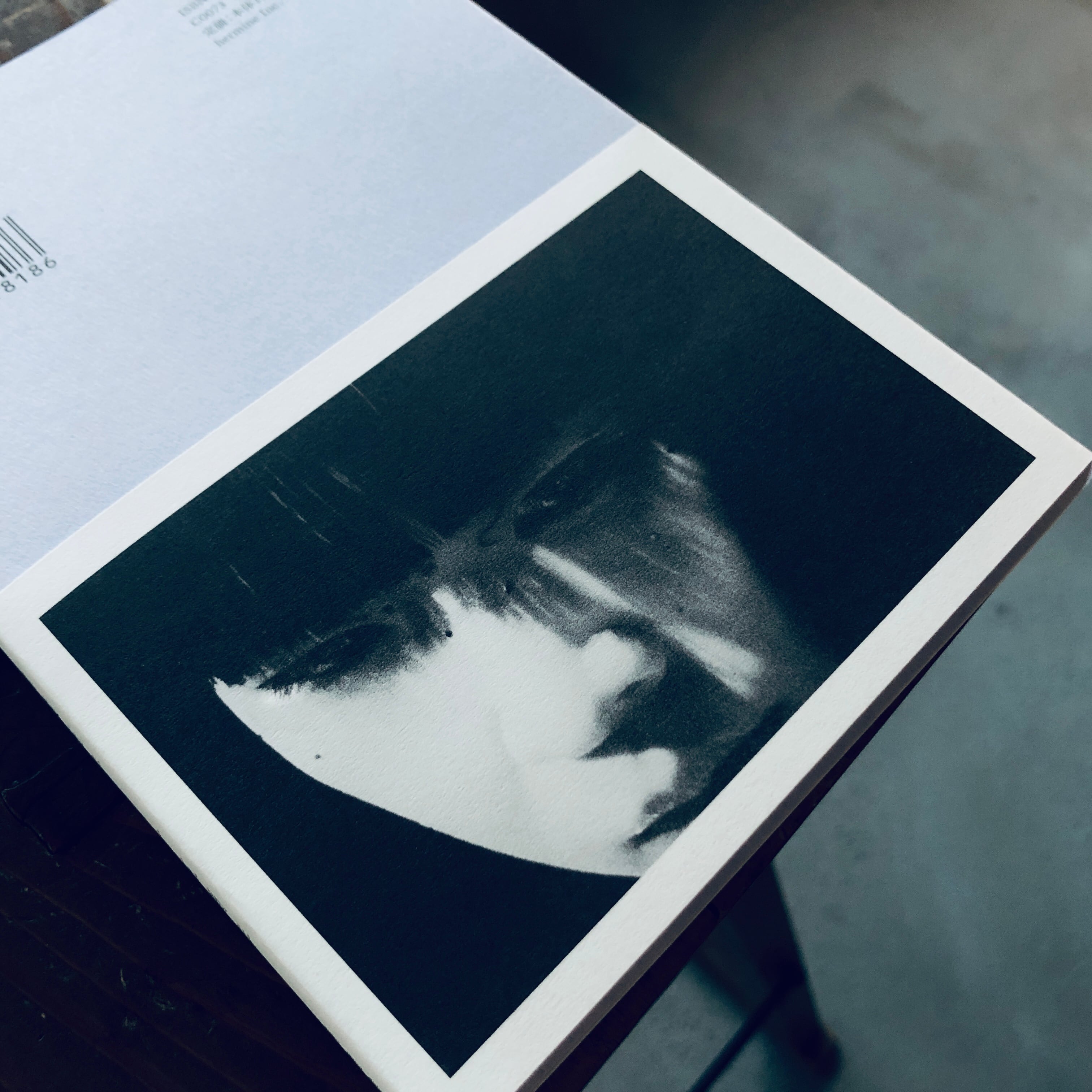 ICHIKO AOBA 15th Anniversary Book / 青葉市子 十五周年 | 本の轍